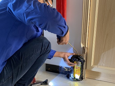 大沥白蚁防控机构5个实用技巧，拒绝白蚁找上门